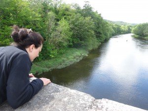 Watching sea lamprey in the River Wye
