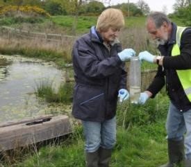 PondNet volunteers collect water samples to be analysed for great crested newt DNA