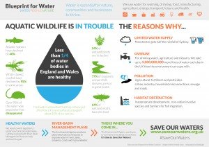 Save Our Waters Infographic