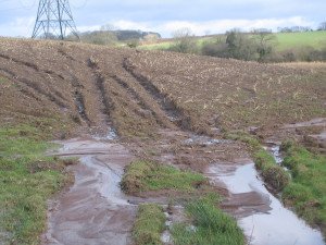 Soils running off farmland carrying nutrients and sediments, which will eventually be deposited in a water course
