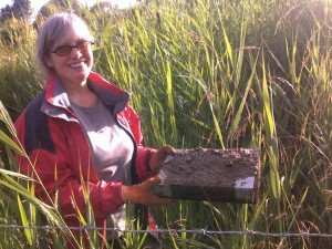 Ann Hanson from Yorkshire Mammal Group found a raft covered in a Water Vole latrine