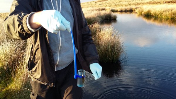 Volunteers have shared their eDNA survey photos on Twitter. This one is from @CaroRance