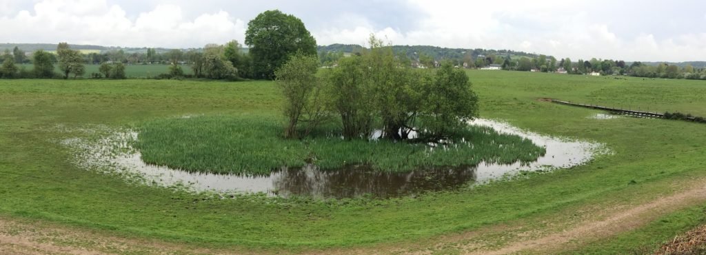 Cock Marsh pond in spring, by Simon Barber