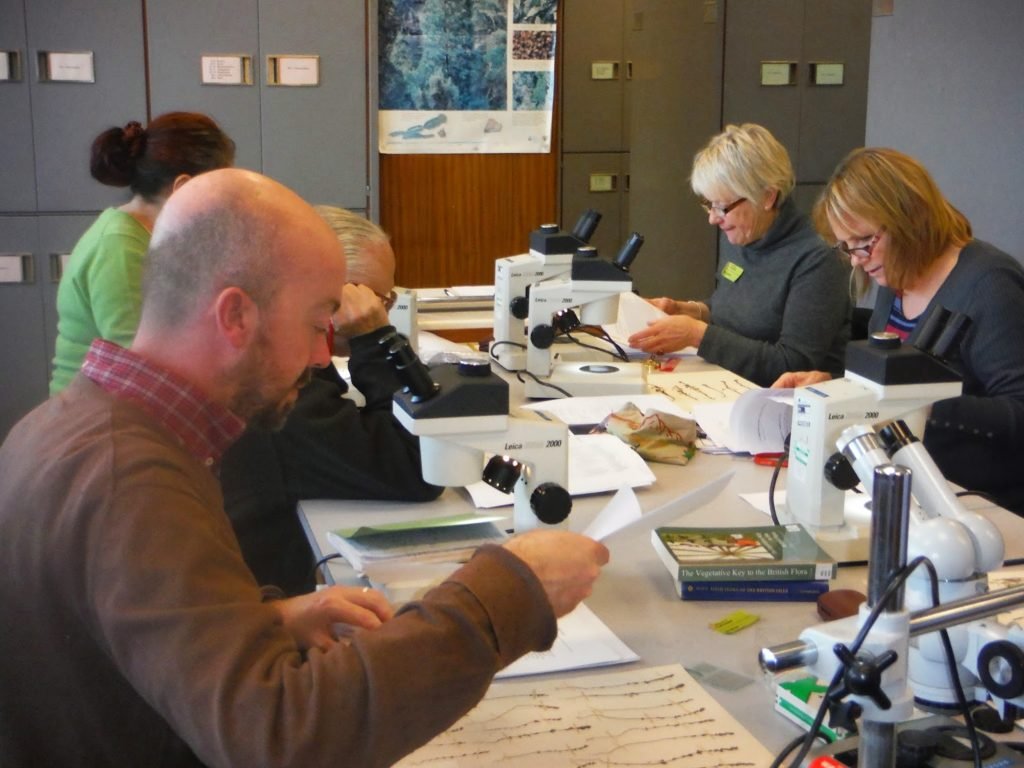 A training workshop on Eyebright identification at the University of Leicestershire Herbarium in 2015 (c) Louise Marsh