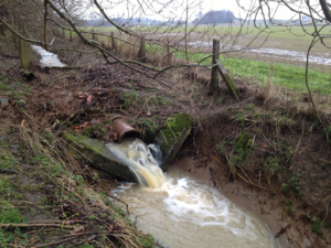 headwater-stream-in-stonton-brook-catchment