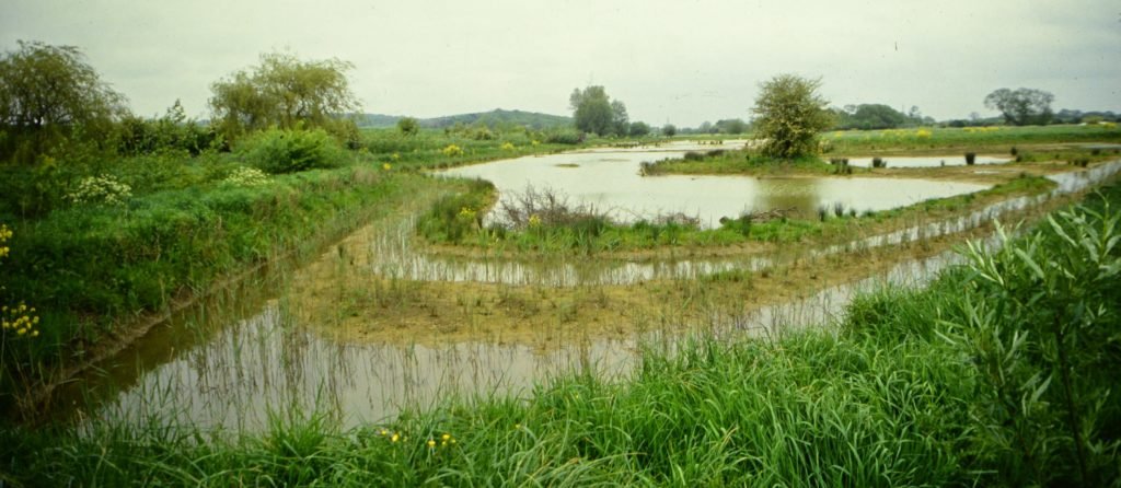 Pinkhill Meadow in the early days (c) Environment Agency
