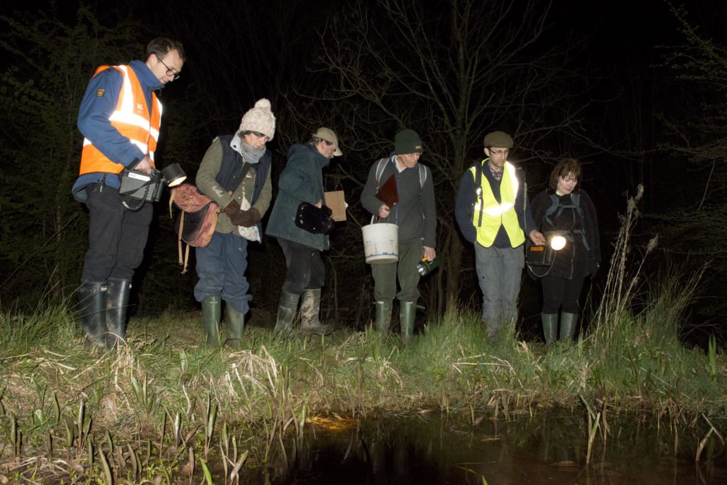 Traditional newt survey methods involve repeat visits in daylight and at night - here PondNet volunteers are learning about amphibian survey methods (c) Will Watson