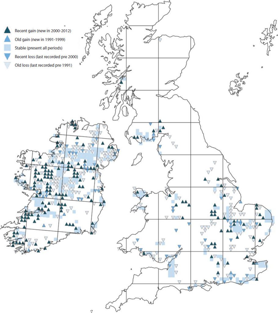 map showing Variable Damselfly distribution. (From the Atlas of Dragonflies in Britain and Ireland, courtesy of the BRC)