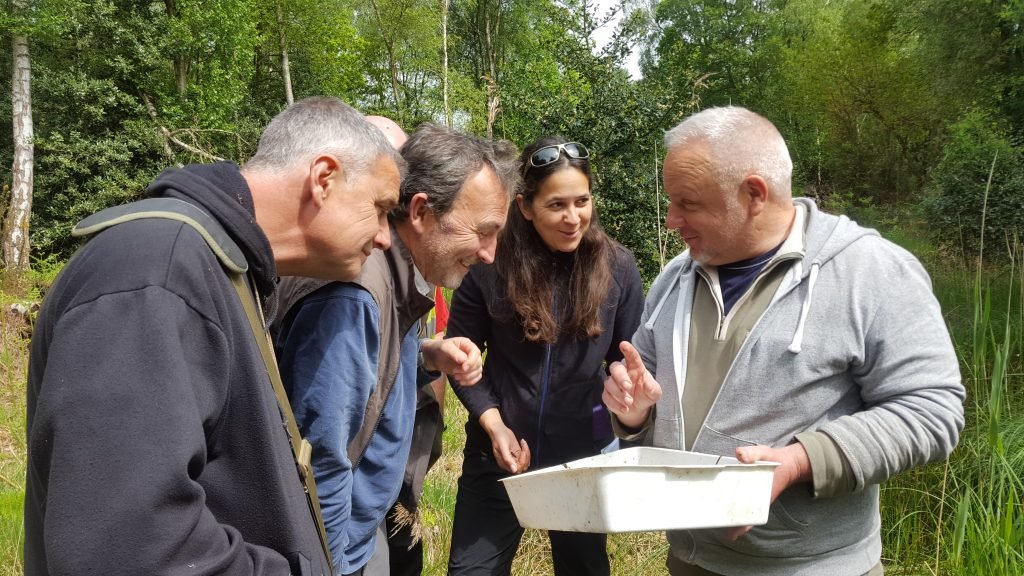 People enjoying learning about Pond Mud Snails at a Stow Bedon pond
