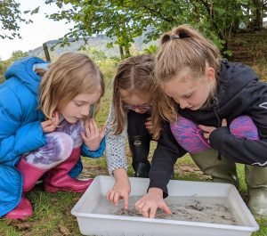 Three primary school girls crouching down pointing at aquatic creatures in a tray of water from the River Irfon