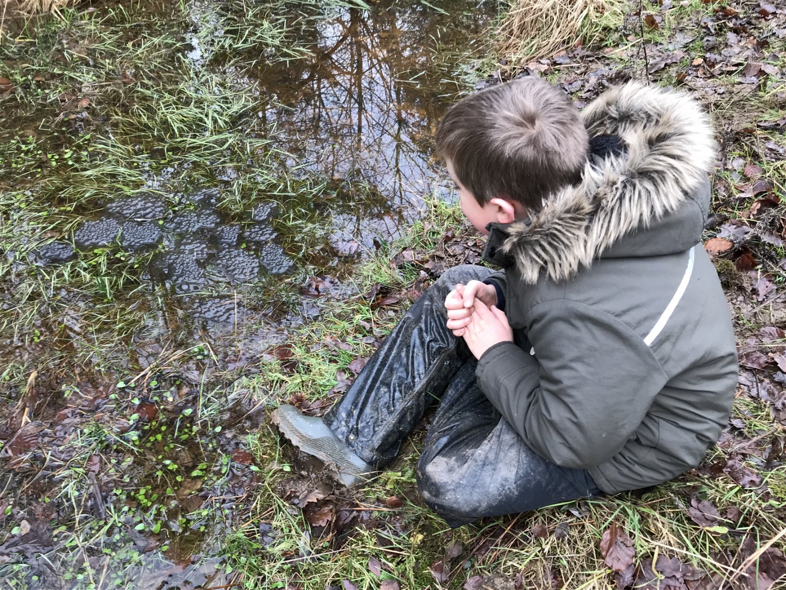 Record-breaking New Forest frog spawn sighting added to national survey ...